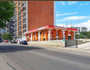 Daily Rental Apartment - Varketili, Tbilisi