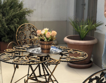 ქირავდება დღიურად ბინა - ნაძალადევის რაიონი, თბილისი